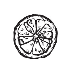 Colorful pictorial of orange slice for menus and promotion