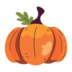 Flat Vector Illustration of an Autumn Pumpkin