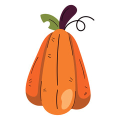 Flat Vector Illustration of an Autumn Pumpkin