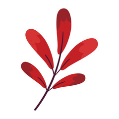 Beautiful Autumn Dry Leaves in Flat Vector Style