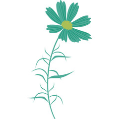 Single Teal Daisy Flower Stem with Green Leaves Against a Clean White Background Subtle Detail and Elegant Design