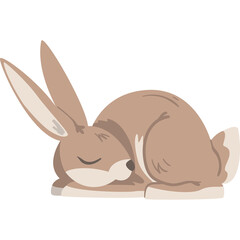 Sleeping Brown Rabbit with Closed Eyes and Long Ears Detailed Cute Animal Illustration on Transparent Background