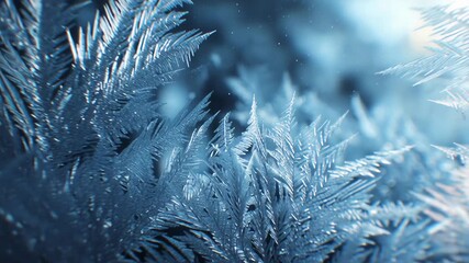 Intricate blue frost patterns on a cold surface, resembling delicate ferns and crystals with sparkling ice texture for winter wonder and frozen beauty - Powered by Adobe