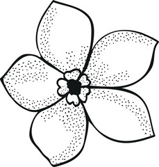 hand drawn vector illustration of a flower