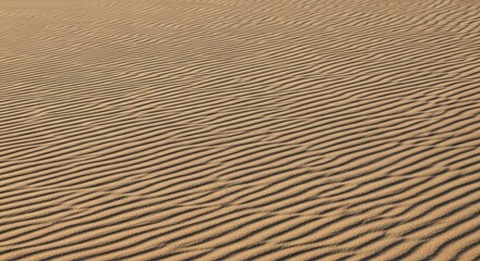 Obraz premium The rippled sand dunes create a mesmerizing pattern, showcasing natures artistry and the subtle beauty of desert landscapes under the warm sunlight
