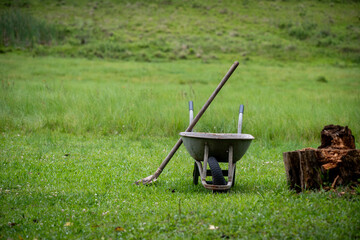 gardener with wheelbarrow