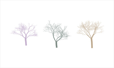 Fototapeta premium Three bare trees on a white background in pastel colors creating an minimalist natural design perfect for spring or fall seasons