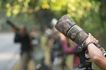 Telephoto lenses oriented toward the sky, photographing wildlife and birds.