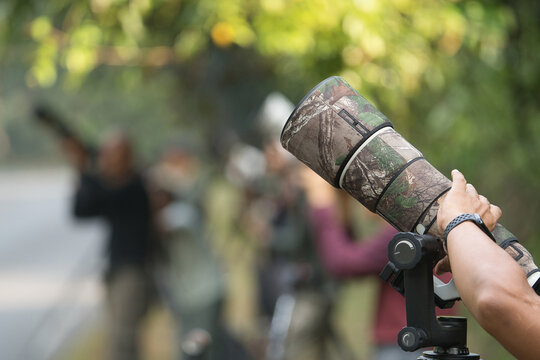 Fototapeta Telephoto lenses oriented toward the sky, photographing wildlife and birds.