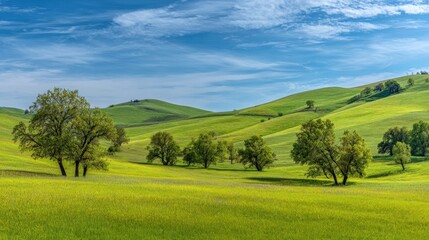 Obraz premium Rolling Green Hills Under a Bright Blue Sky: A Picturesque Pastoral Landscape Scene