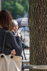 Young women absorbed in smartphone waits for streetlight by tree. Dressed in knit sweater with light tote bag hanging from her shoulder, scene showcases trendy casual fashion among Japanese youth.