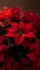 花弁の重なりと小さな陰影を丁寧に整理し印刷適性を高めたクリスマスシーズンの定番として機能する縦型素材. 生成AI