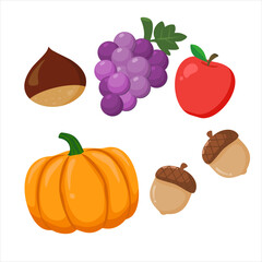 Elegant flat vector illustration of autumn harvest fruits and nuts including pumpkin, apple, grape, chestnut, and acorn. Perfect for premium seasonal design, eco-friendly packaging, organic food brand