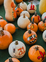 Hand painted Halloween pumpkins and gourds on green surface with “31 October” text, cartoon...