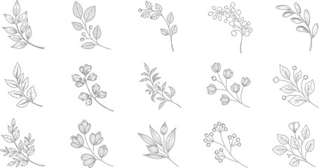 Fototapeta premium Botanical Silhouettes Grey Leaf and Flower Outlines on Transparent Background