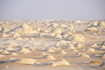 The White Desert
