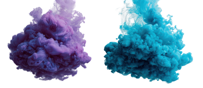 Two colorful ink clouds purple and blue swirling in water isolated on transparent background