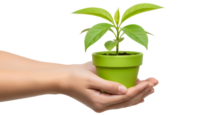 Hand holding plant pot seedling growth and care concept on transparent background