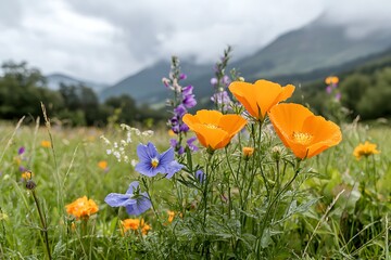 Obraz premium Vibrant Wildflowers Blooming Under Cloudy Skies in a Serene Nature Landscape