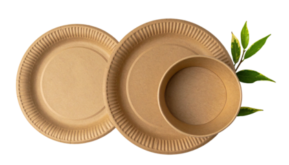 Biodegradable tableware with leaves on black background