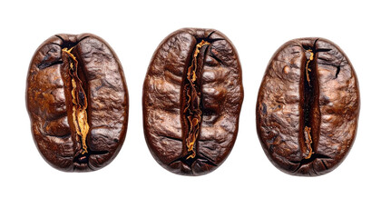 Three close-up roasted coffee beans on a black background