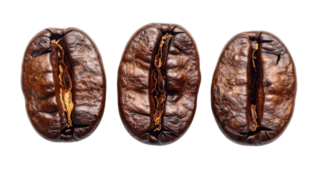 Three close-up roasted coffee beans on a black background