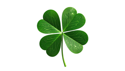 Detailed four-leaf clover against a solid black background
