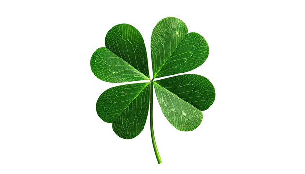 Detailed four-leaf clover against a solid black background