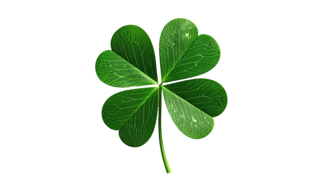Detailed four-leaf clover against a solid black background