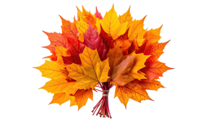 Colorful autumn leaves tied together, forming bouquet shape