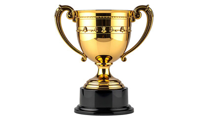 Gleaming golden trophy with black base, ornate handles