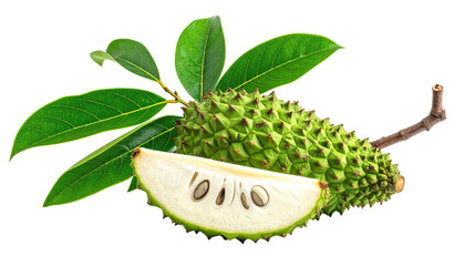 Soursop fruit with slice, green leaves, on black background