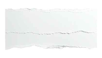 Rectangular white paper torn horizontally against a black backdrop