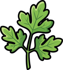 Green Leafy Herb Branch With Three Lobed Leaves Isolated On White Background