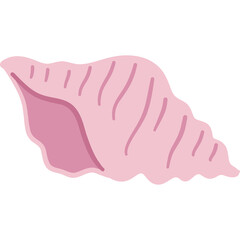 Pink Hand Drawn Seashell Illustration with Detailed Texture on Transparent Background