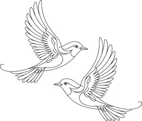 Elegant line art of two flying birds, minimalist black and white illustration, freedom and nature concept, delicate continuous drawing