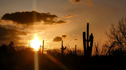 Sunrise im the Desert