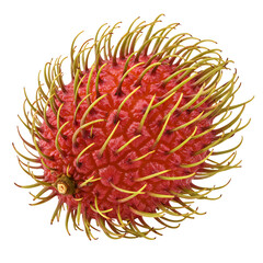 Fototapeta premium Vibrant exotic rambutan fruit showcasing its unique spiky texture and bright red skin with green tips, perfect for culinary and wellness concepts.
