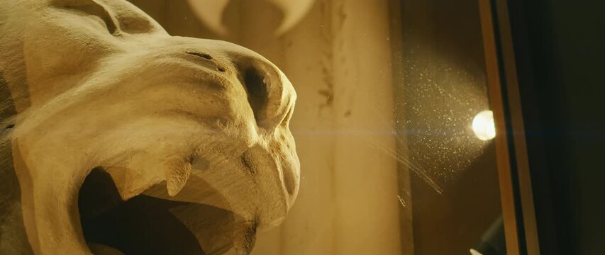 Close-up of lion sculpture under spotlight inside Milan Cathedral museum exhibit space