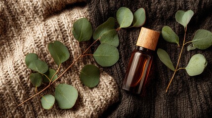 Natural Eucalyptus Leaves and Essential Oil Bottle on Cozy Knit Blankets