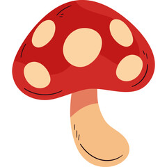 Minimal Colorful Flat Design of Wild Fungi