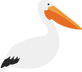 Simple Flat Illustration of a White Pelican with Orange Beak Bird