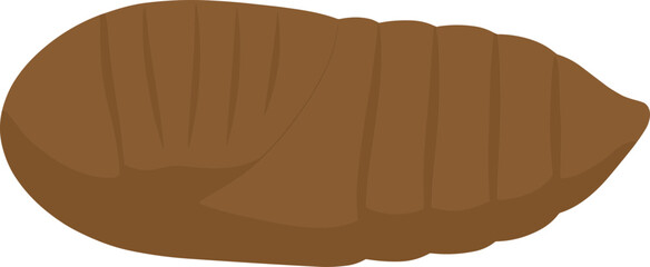 Simple Flat Illustration of Butterfly Pupa Stage Insect Development