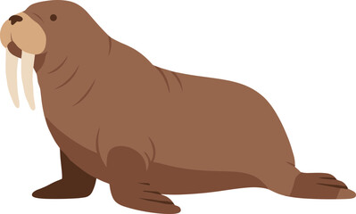 Flat Brown Walrus Illustration with Tusks Arctic Marine Mammal