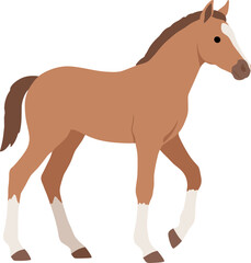 Simple Flat Cute Walking Horse Foal Domestic Animal Illustration