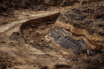 Close up abstract view of textured earth and rock formations with natural earthy tones