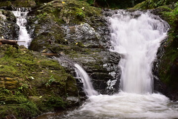 Obraz premium Huai To Waterfall is located in Khao Phanom Bencha National Park. It is the most beautiful waterfall in the park. Its source comes from the Phanom Bencha mountain range