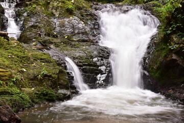 Fototapeta premium Huai To Waterfall is located in Khao Phanom Bencha National Park. It is the most beautiful waterfall in the park. Its source comes from the Phanom Bencha mountain range