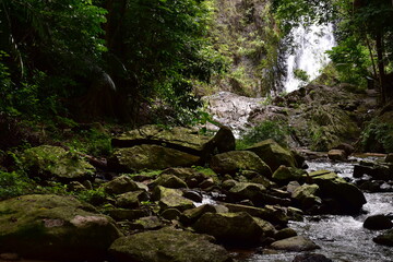 Huai To Waterfall is located in Khao Phanom Bencha National Park. It is the most beautiful...