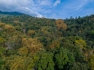 Obraz premium Beautiful tropical mountain landscape with dense green forest under a bright blue sky and dramatic white clouds. Natural scenery showing lush vegetation, misty hills, and vibrant foliage.